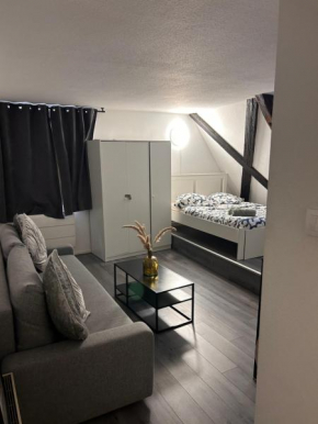 STRASBOURG : STUDIO HYPER CENTRE
